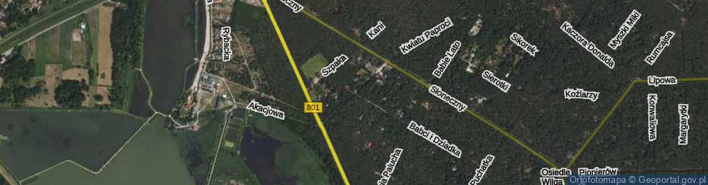 Zdjęcie satelitarne Leśników ul.